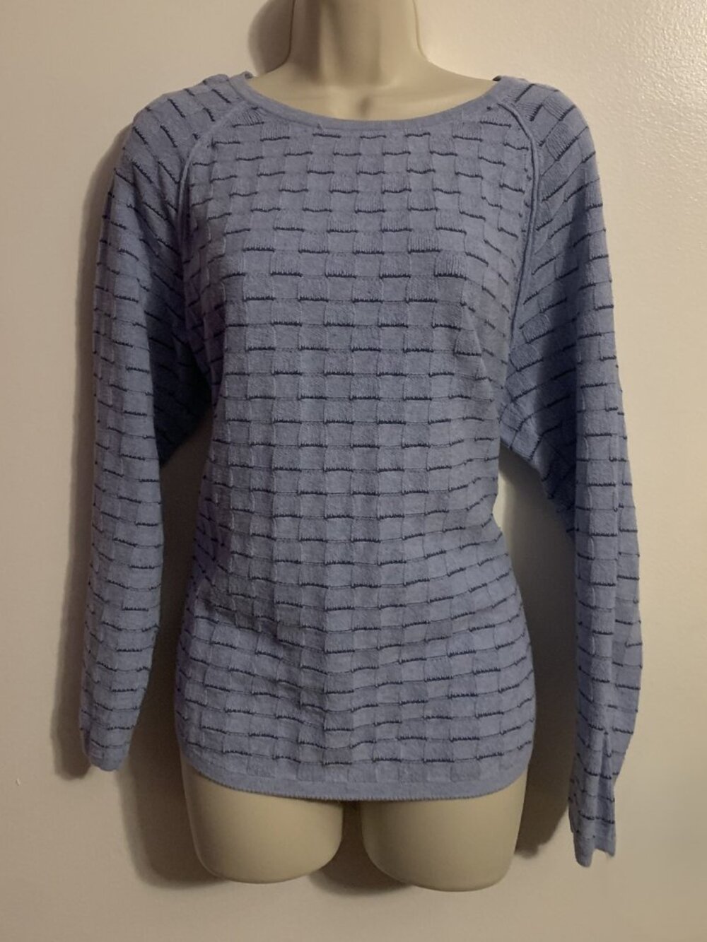 Karen Scott, Size Large, Blue/Gray, Woman's Pullover Long Sleeve Sweater